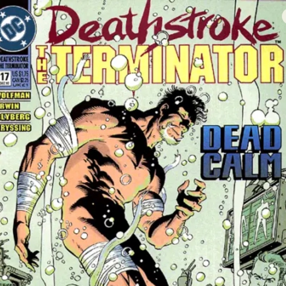 DEATHSTROKE: THE TERMINATOR (1991 Series) #17 Near Mint Comics Book